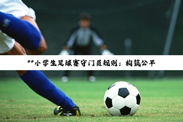 **小学生足球赛守门员规则:构筑公平竞技与成长的基石**
